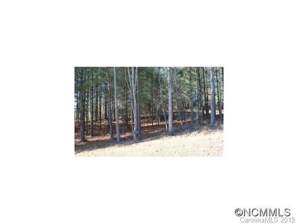 45 Newcastle Road Brevard, NC 28712 - Photo 1 of 1 Gallery Image 1