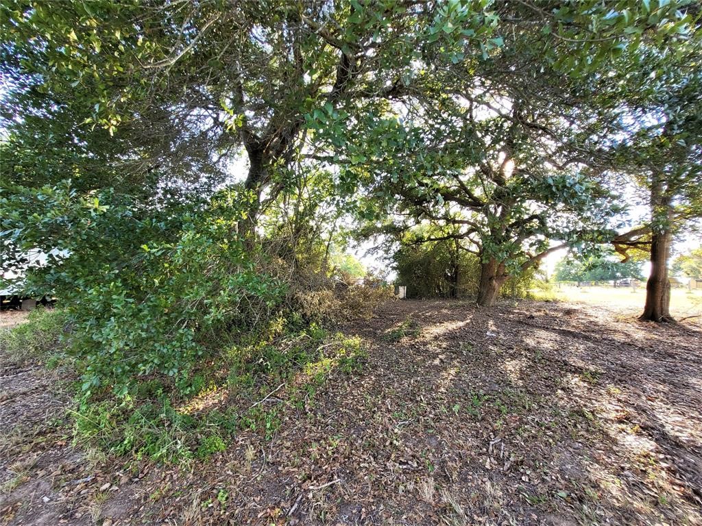 14536 Cochran Road Waller, TX 77484 - Photo 14 of 14