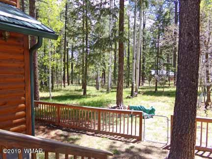 13 County Road Alpine, AZ 85920 - Photo 26 of 35