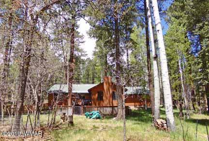 13 County Road Alpine, AZ 85920 - Photo 29 of 35