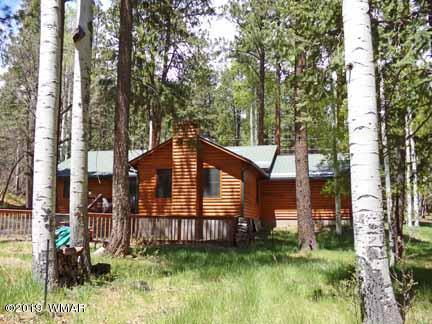 13 County Road Alpine, AZ 85920 - Photo 30 of 35
