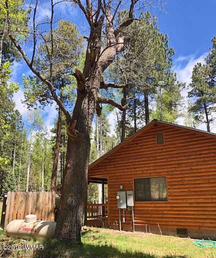13 County Road Alpine, AZ 85920 - Photo 31 of 35