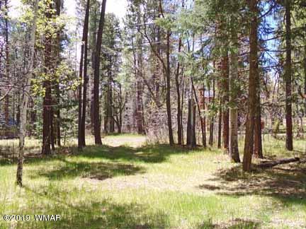 13 County Road Alpine, AZ 85920 - Photo 34 of 35