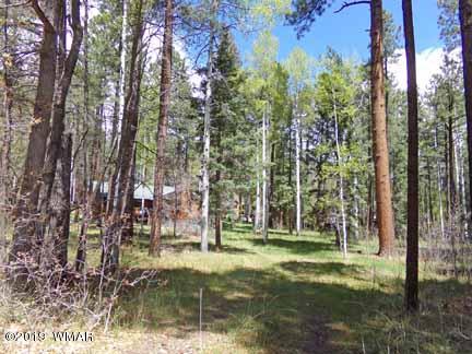 13 County Road Alpine, AZ 85920 - Photo 35 of 35
