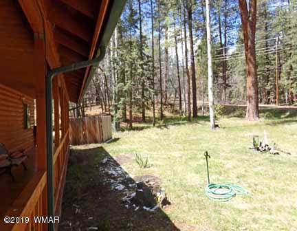 13 County Road Alpine, AZ 85920 - Photo 4 of 35