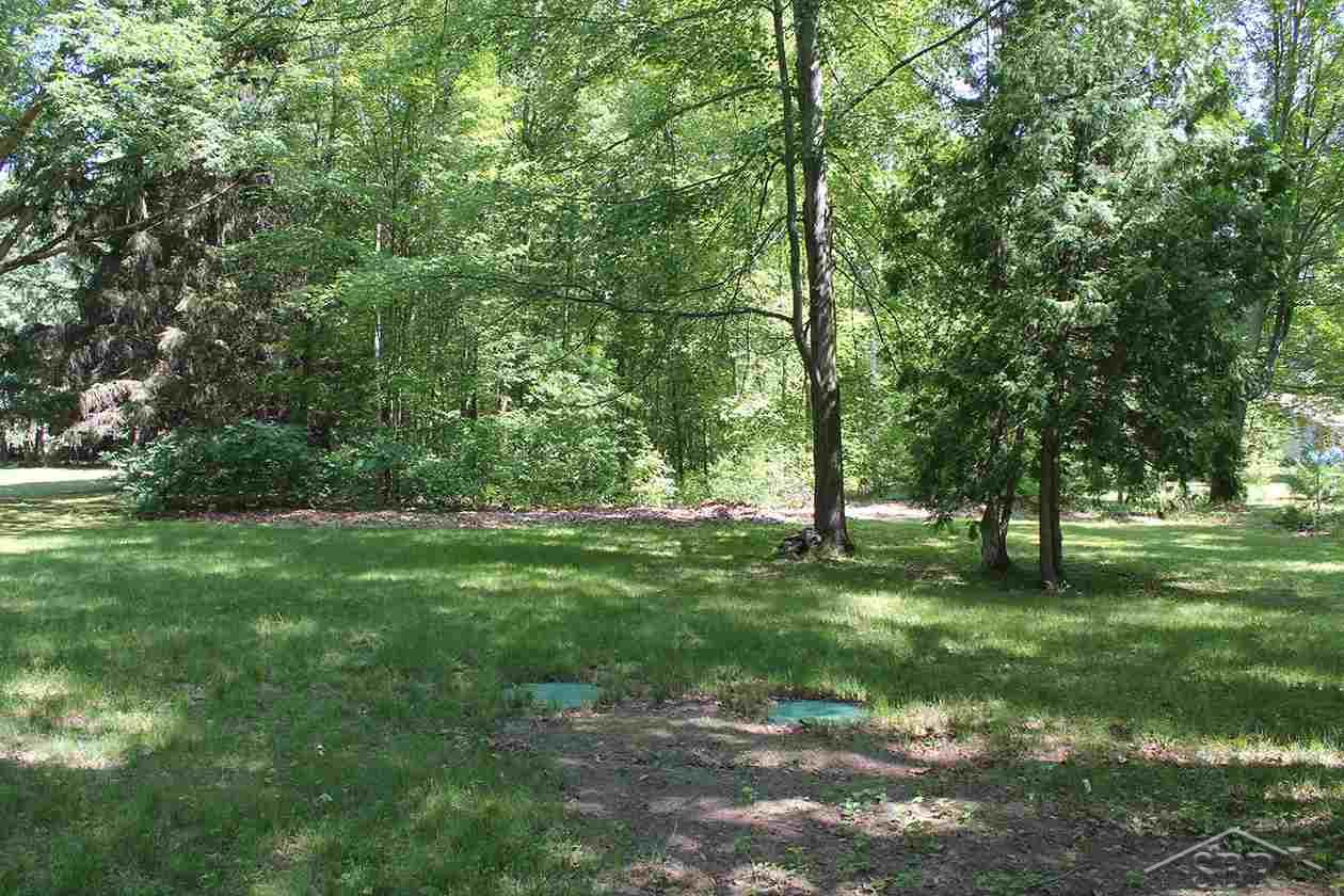 4600 South Graham Road St. Charles, MI 48655 - Photo 16 of 16