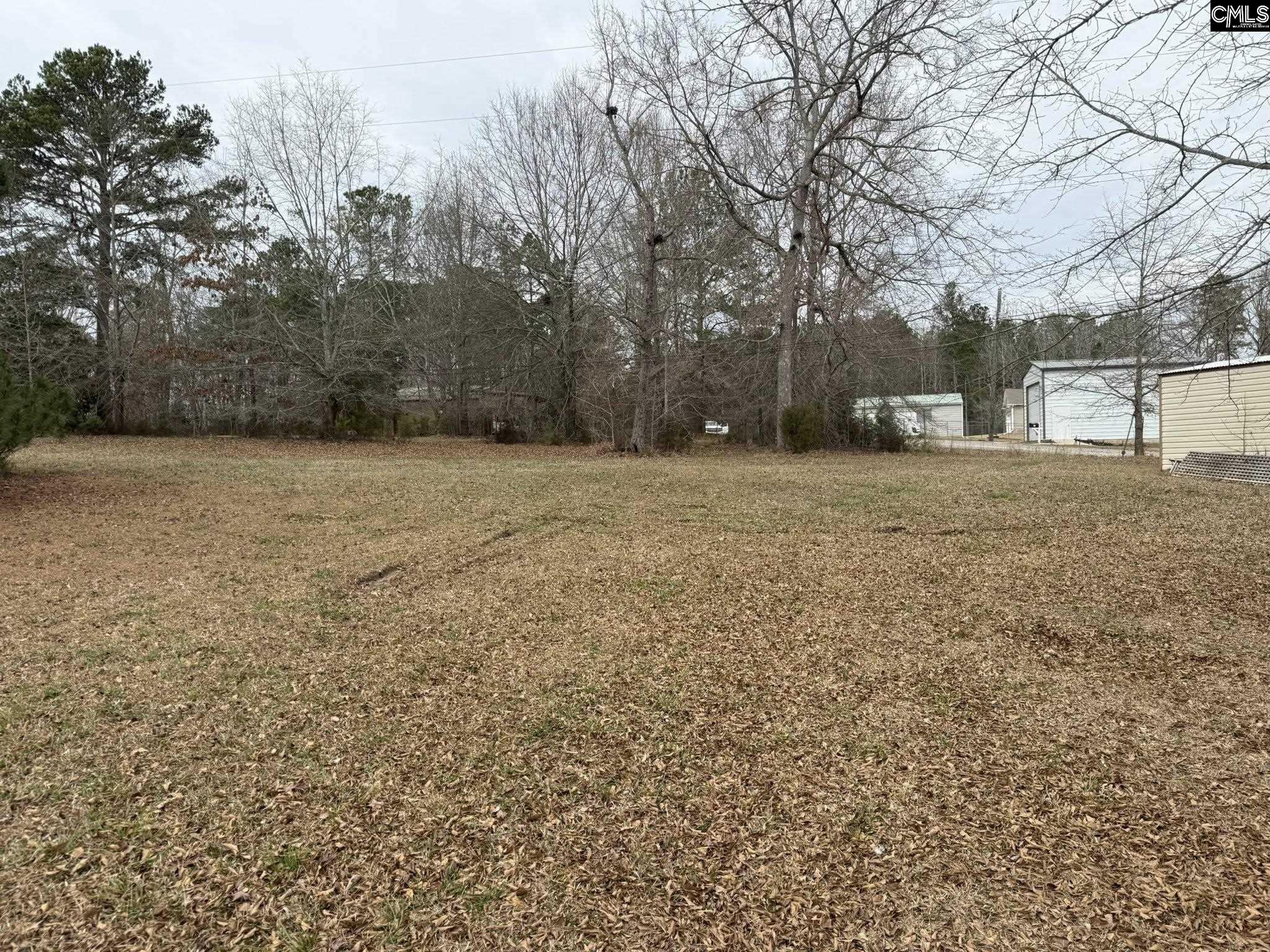 683 Hawley Creek Road Prosperity, SC 29127 - Photo 4 of 17