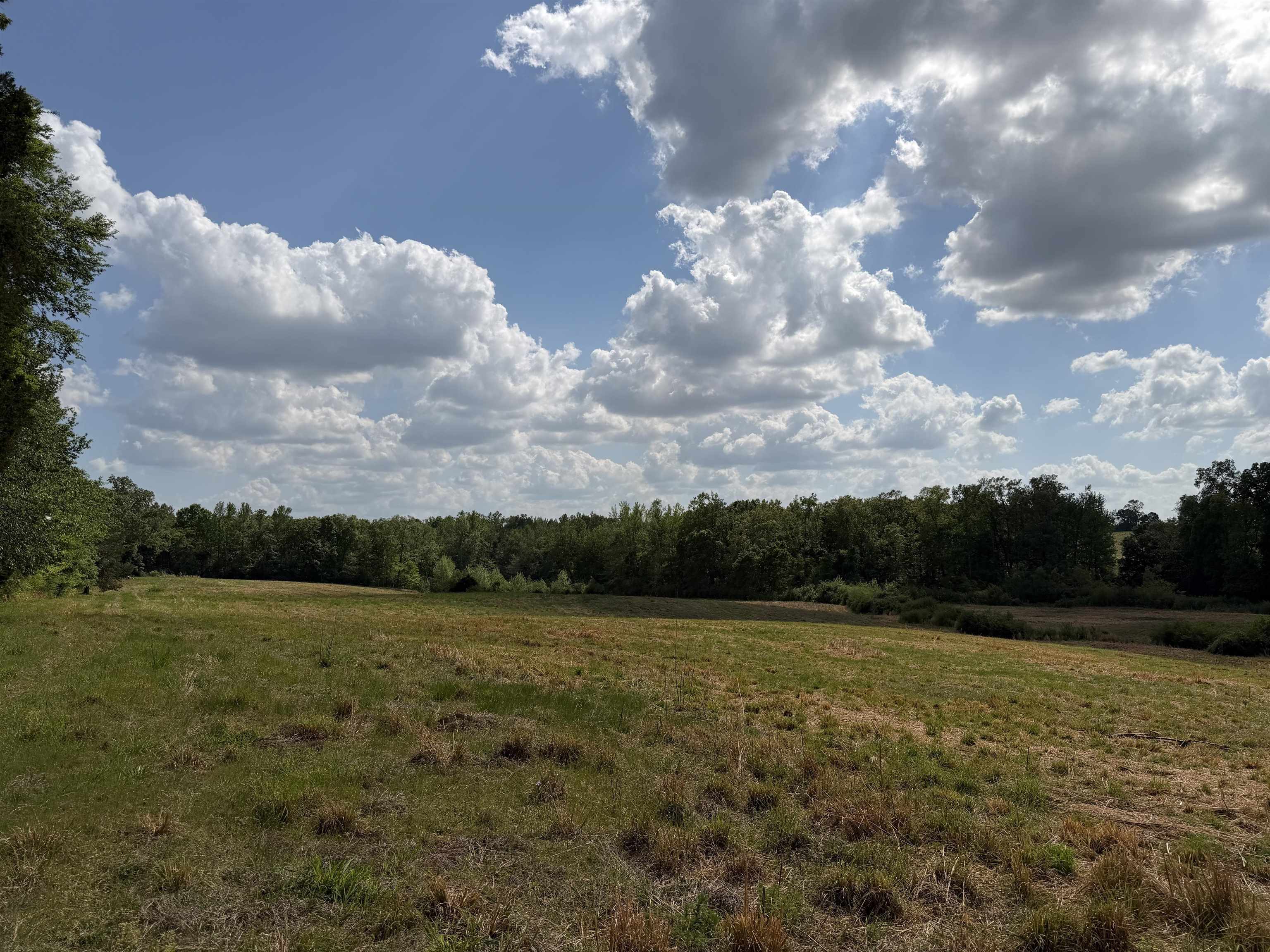 2 Saltillo Road Morris Chapel, TN 38361 - Photo 20 of 39 a view of a lake from a yard