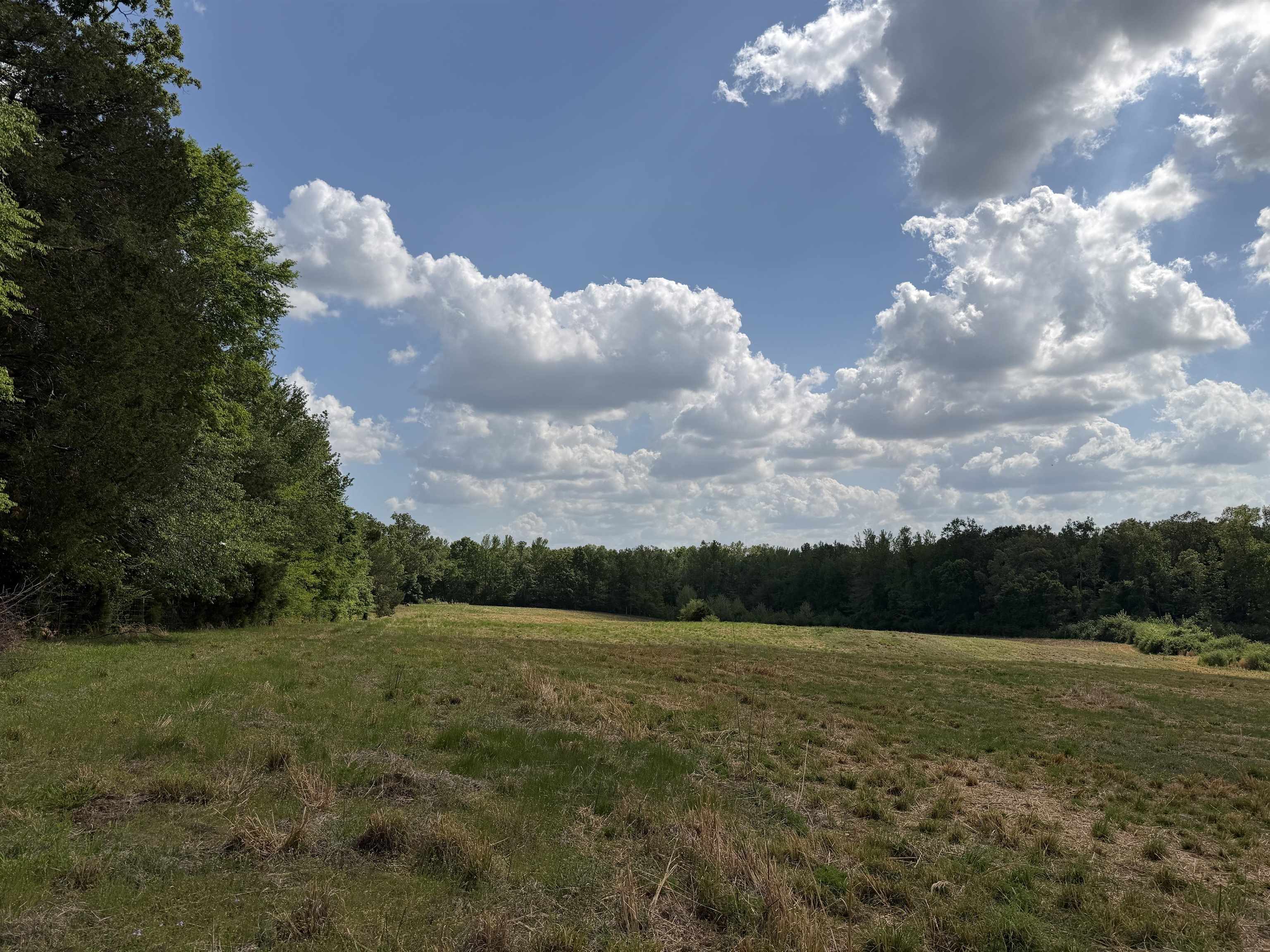2 Saltillo Road Morris Chapel, TN 38361 - Photo 21 of 39 a view of a big yard with a house