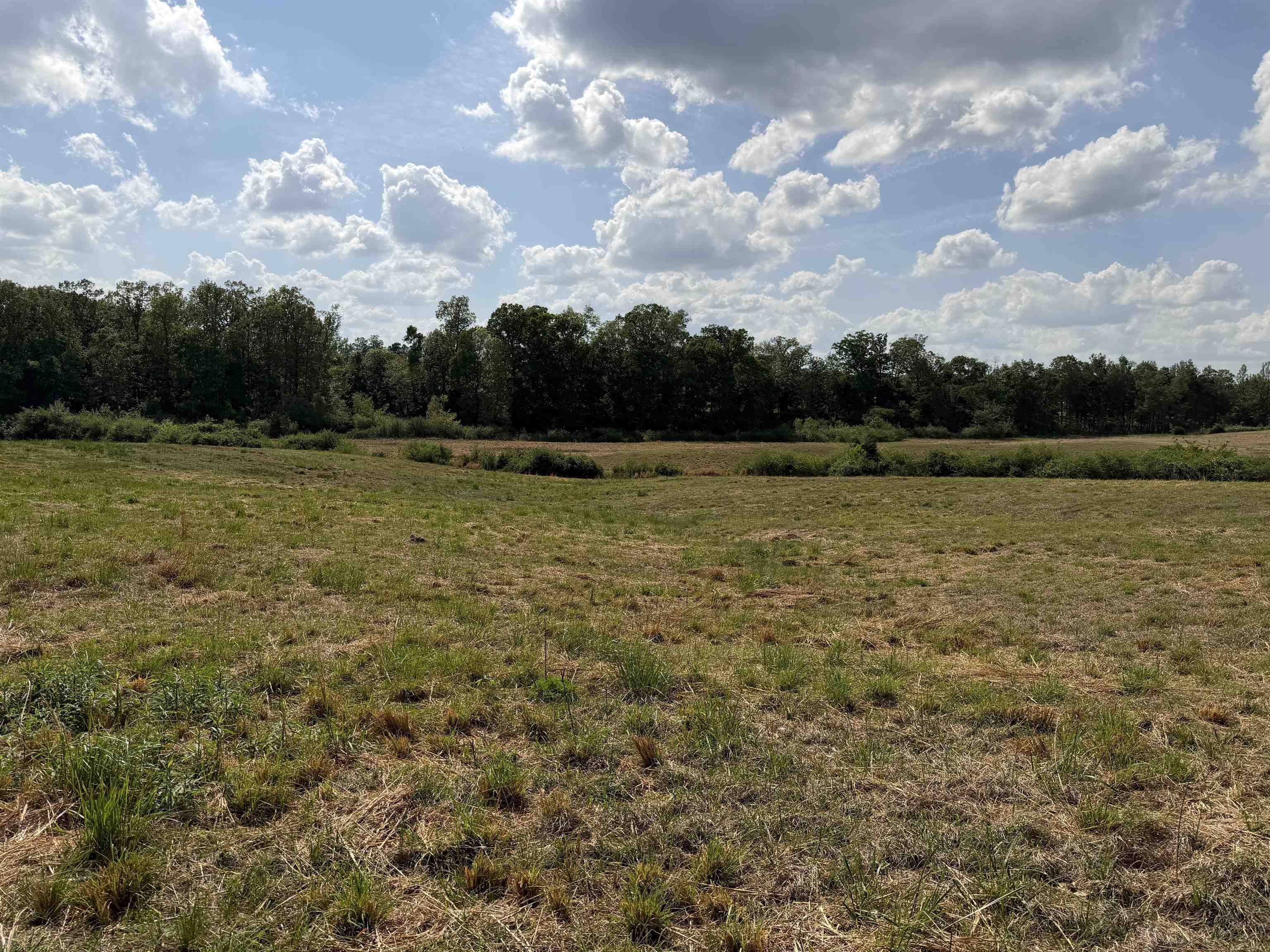 2 Saltillo Road Morris Chapel, TN 38361 - Photo 29 of 39 a view of a field with an outdoor space