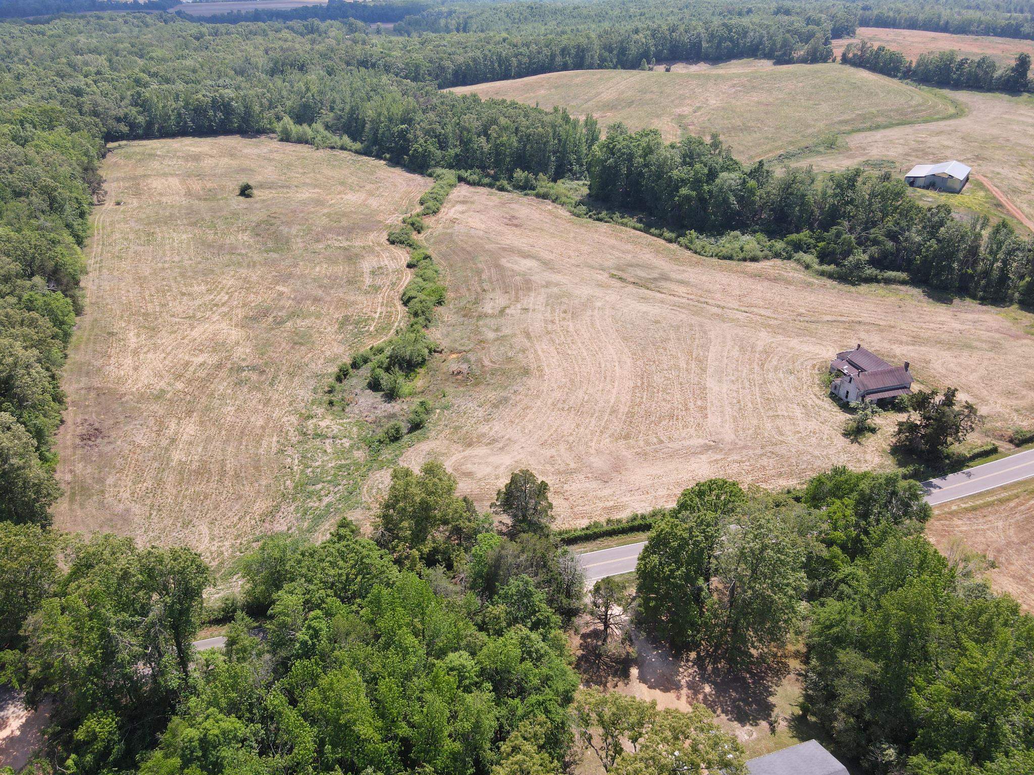 2 Saltillo Road Morris Chapel, TN 38361 - Photo 36 of 39 a view of a dry yard with large trees