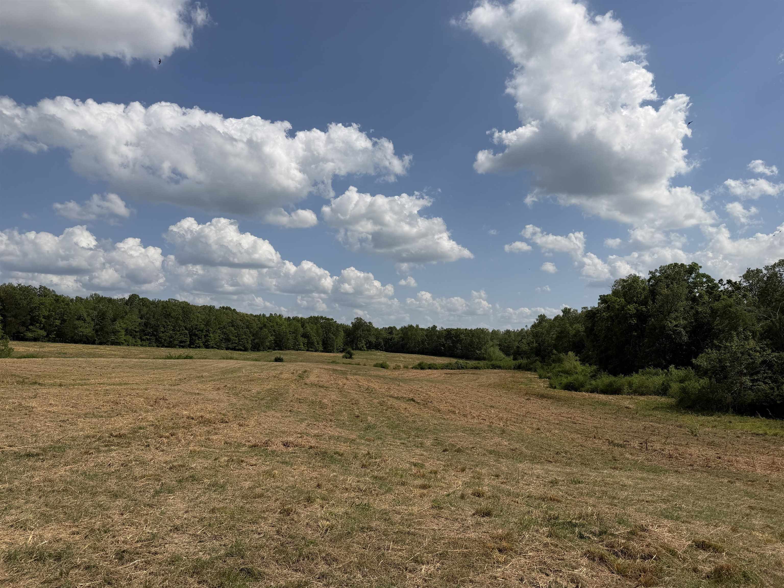 2 Saltillo Road Morris Chapel, TN 38361 - Photo 10 of 39