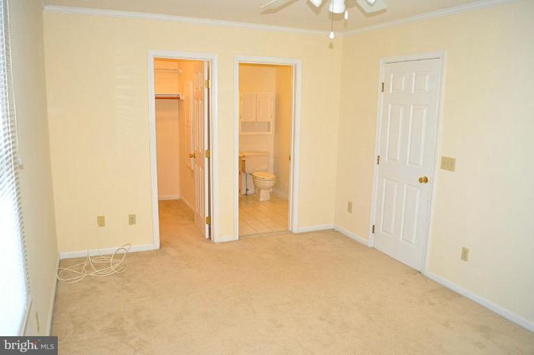 300 Drake Tail Place, Unit 54 Chester, MD 21619 - Photo 26 of 29 Other #2