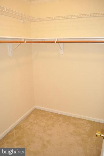 300 Drake Tail Place, Unit 54 Chester, MD 21619 - Photo 27 of 29 Other #3