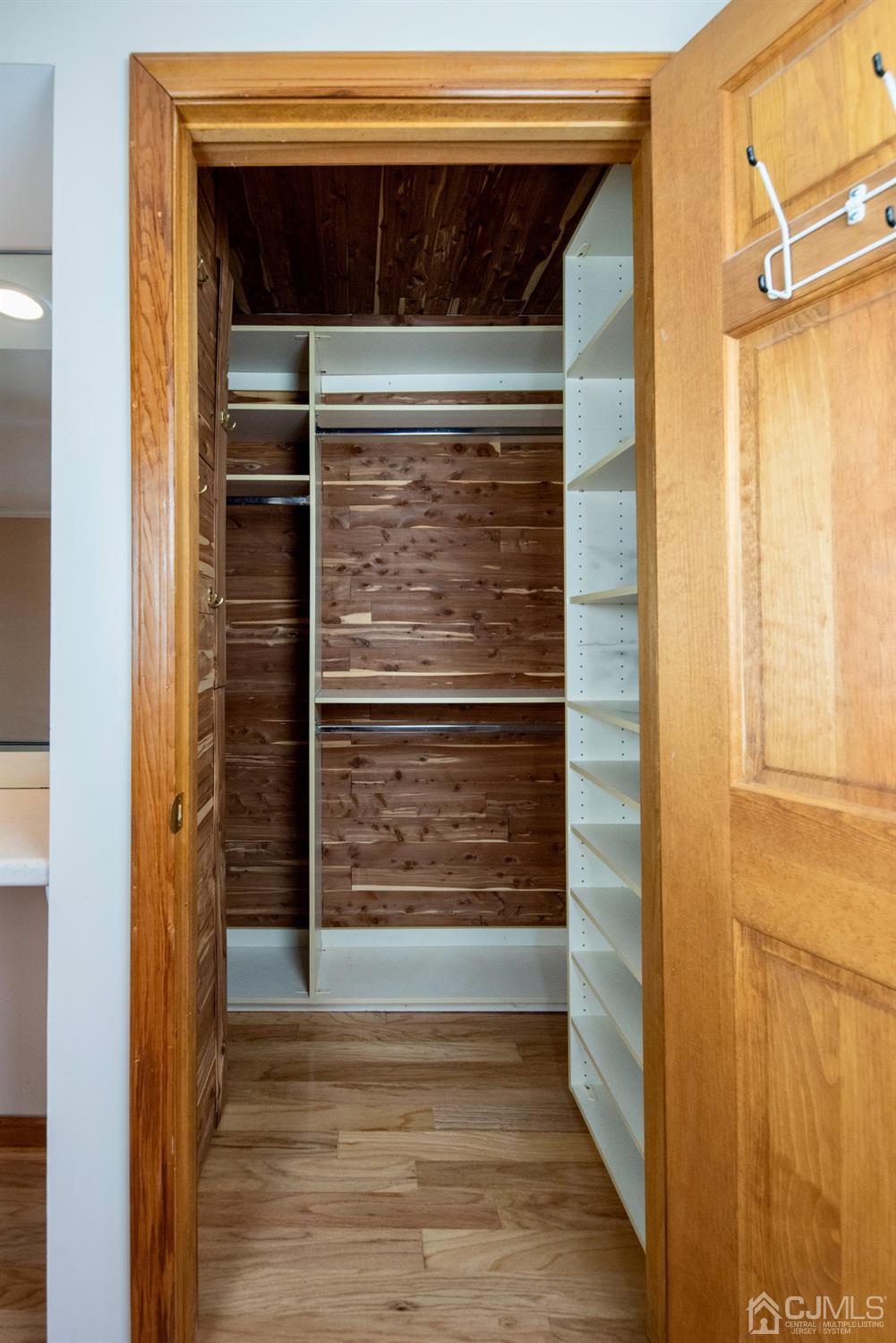 115 New Brooklyn Road Edison, NJ 08817 - Photo 28 of 53 a view of walk in closet