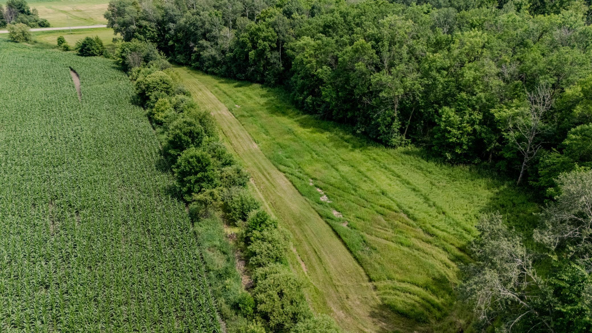 Tbd Cardinal Road Swanville, MN 56382 - Photo 9 of 16