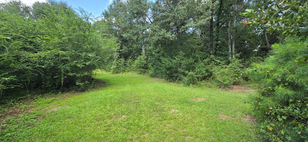 4739 Wallace Buie Road Columbia, AL 36319 - Photo 12 of 54