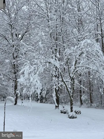 a view of snow on the road