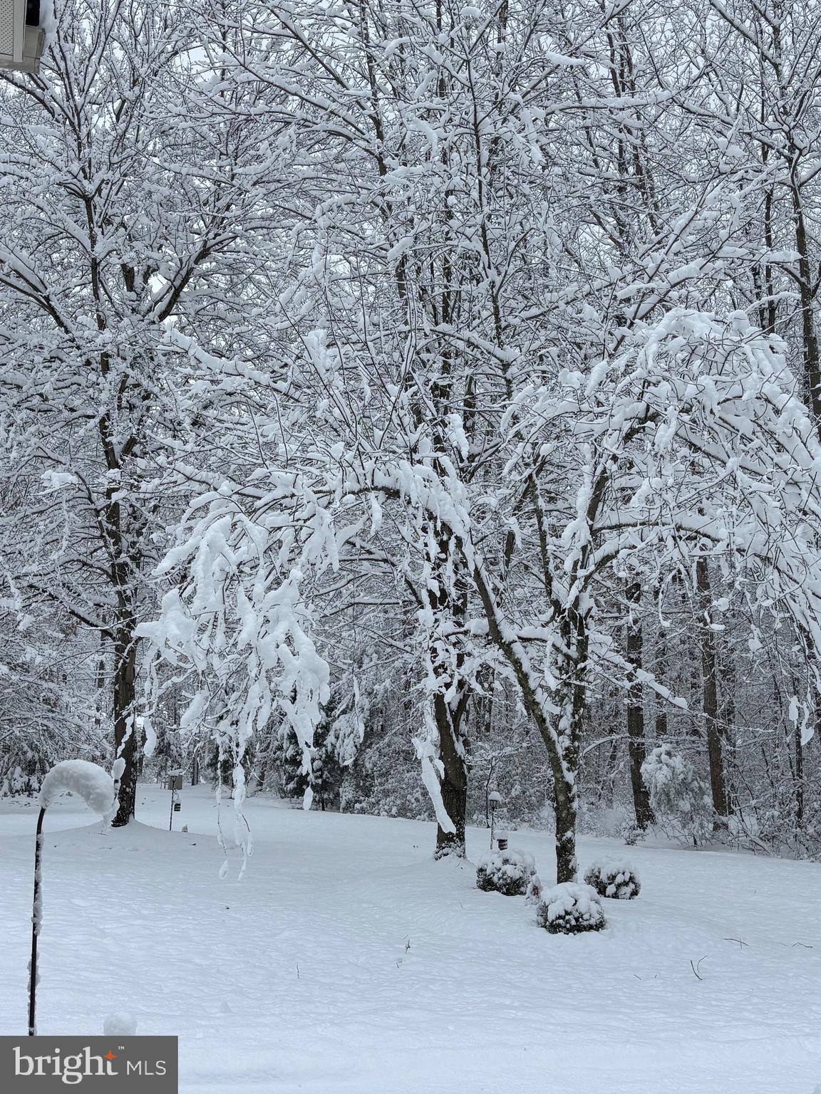 133 Steelton Road Sicklerville, NJ 08081 - Photo 3 of 35 a view of snow on the road
