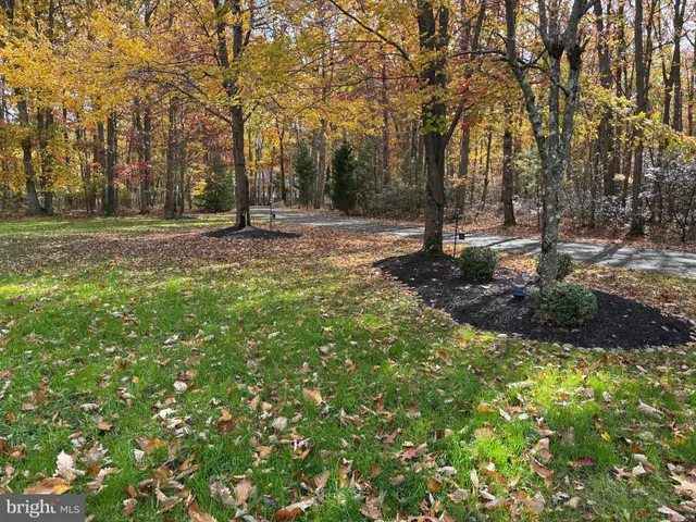 a view of outdoor space with a garden