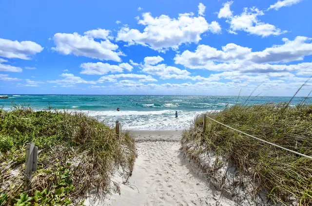 a view of a lake with a city
