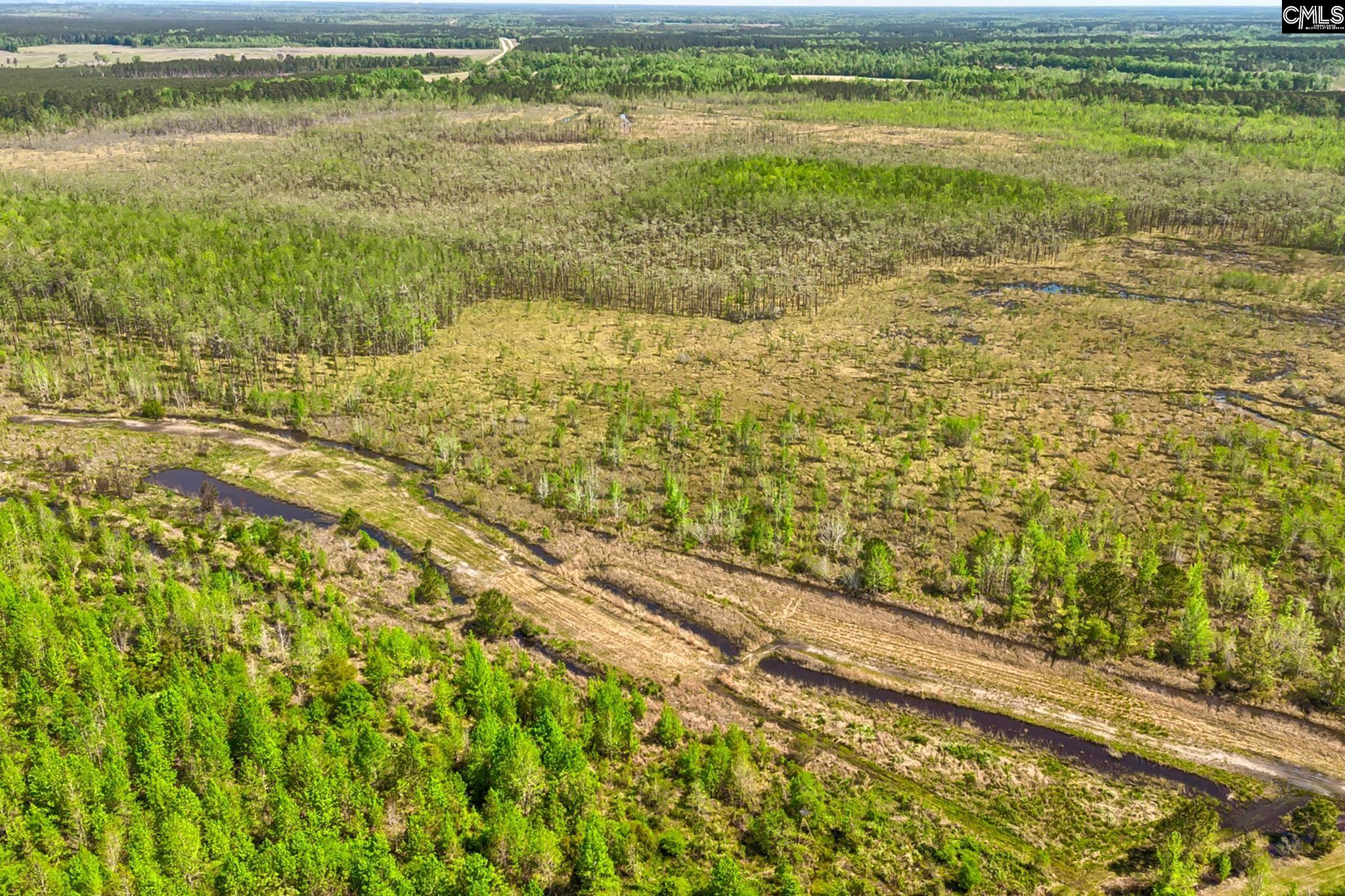 Tbd Alligator Road Olar, SC 29843 - Photo 19 of 24