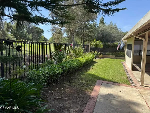 a view of a yard with plants and large trees