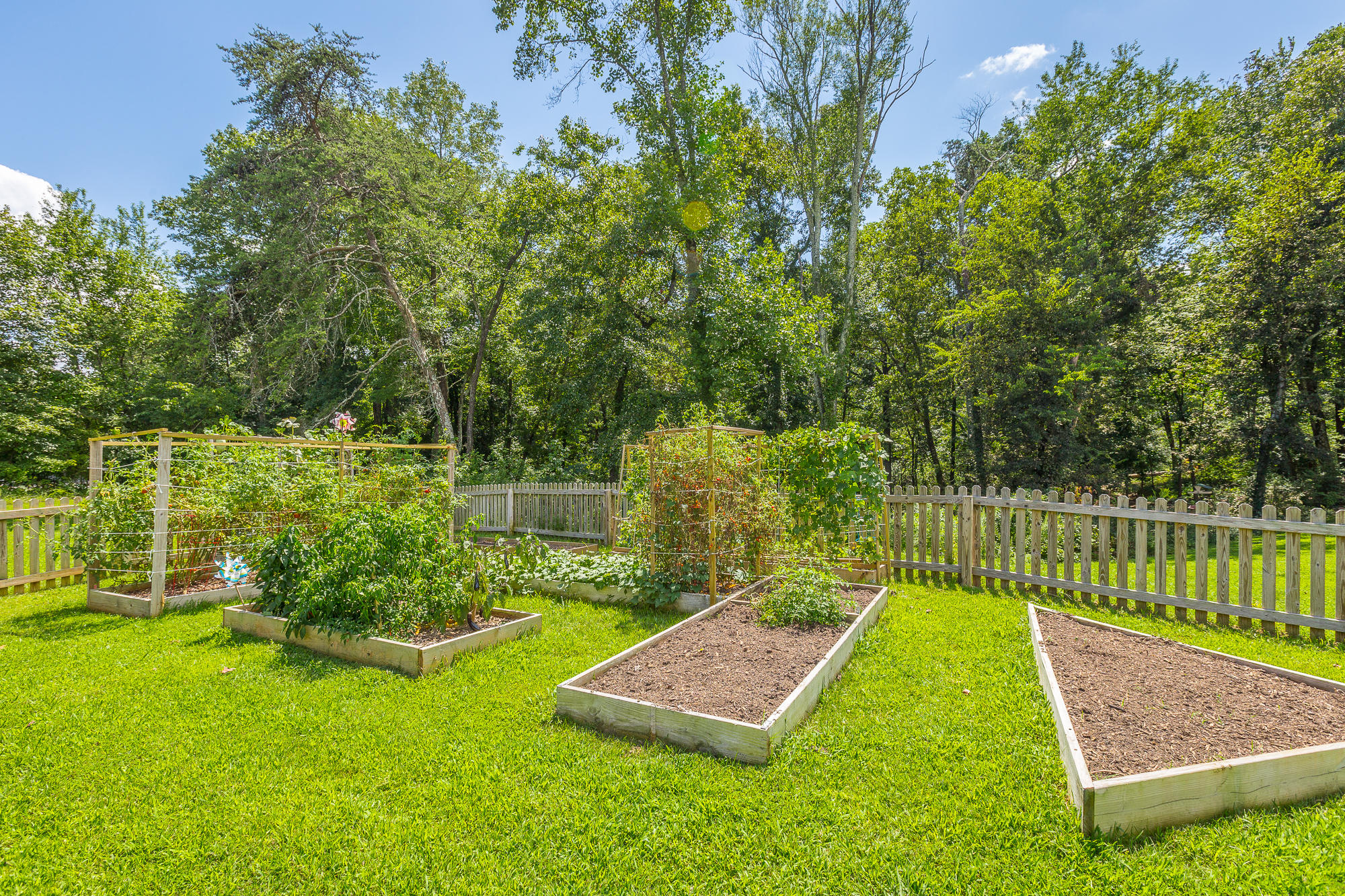4111 Gann Store Road Hixson, TN 37343 - Photo 53 of 54 4111 Gann Store Rd. HD-20