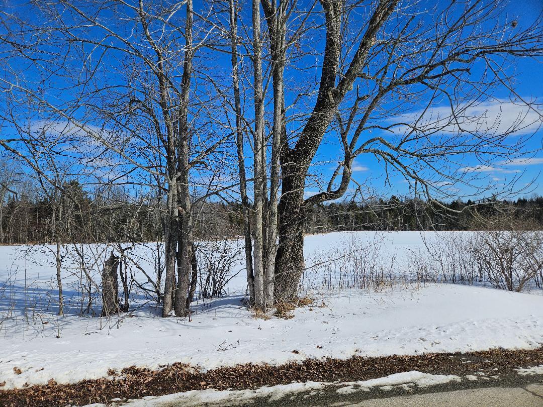 15 A Snakeroot Road Pittsfield, ME 04967 - Photo 2 of 3 snaker2