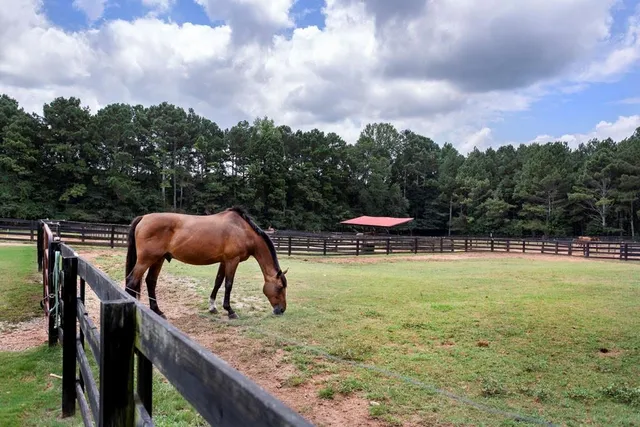 $2,995,000 | 3055 Spring Hill Drive, Monroe, GA 30656