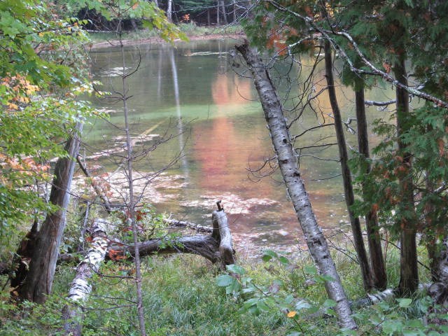 2867 Kettle Lake Road Kalkaska, MI 49646 - Photo 2 of 38 1880375-1.JPG