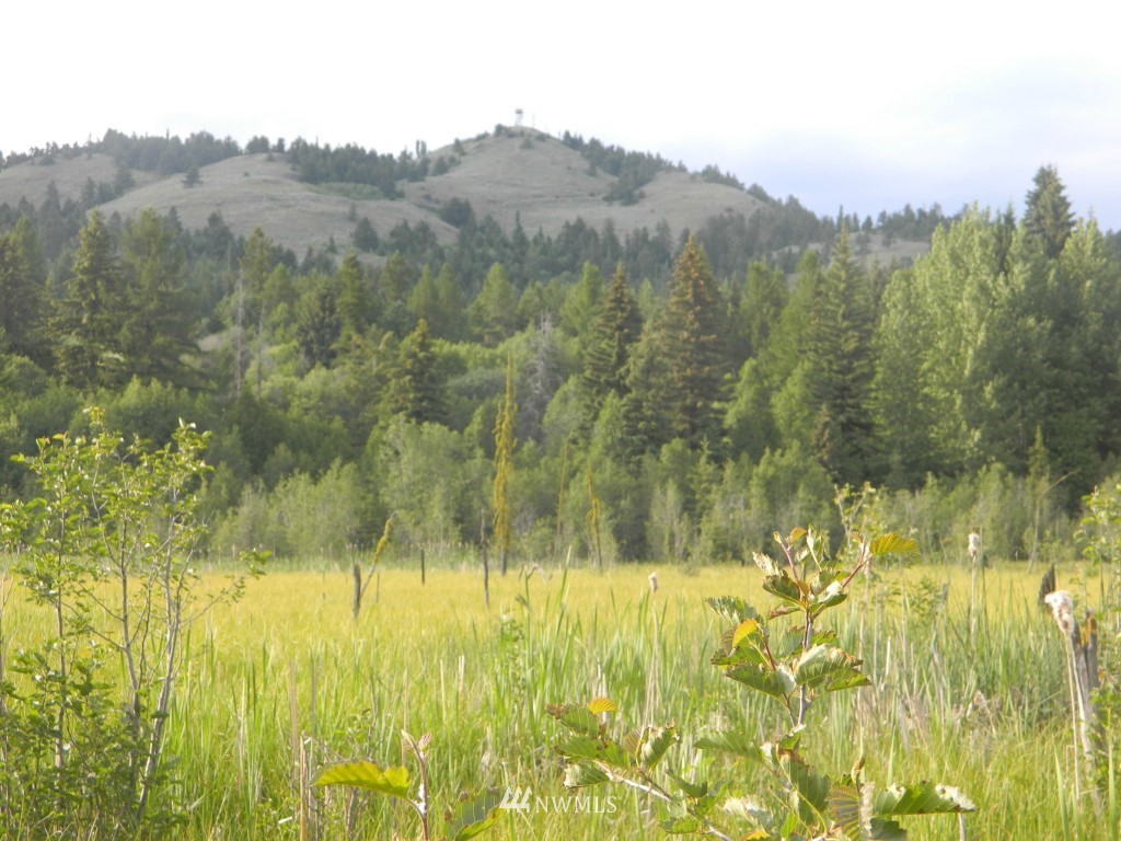 148 Tobys Mill Road Tonasket, WA 98855 - Photo 18 of 20 Gallery Image 18