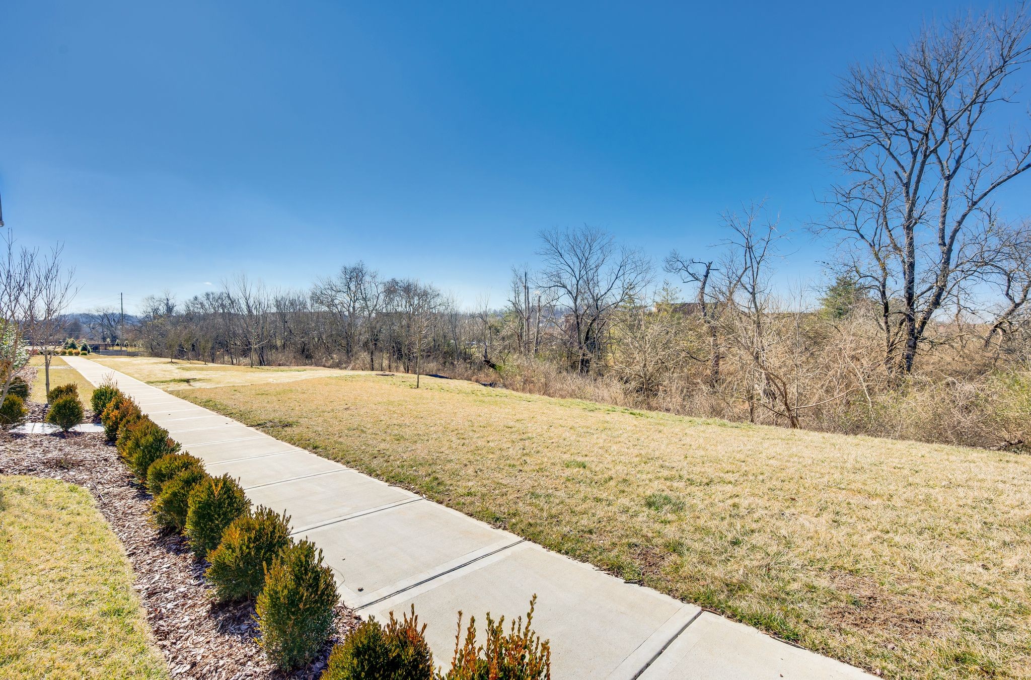 6037 Whitman Road Franklin, TN 37064 - Photo 41 of 100