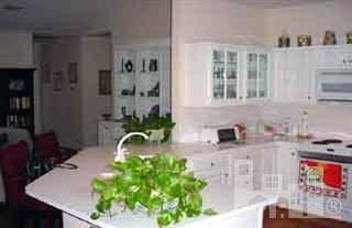 5600 Shell Rd Village Drive Wilmington, NC 28403 - Photo 4 of 7 Additional Photo