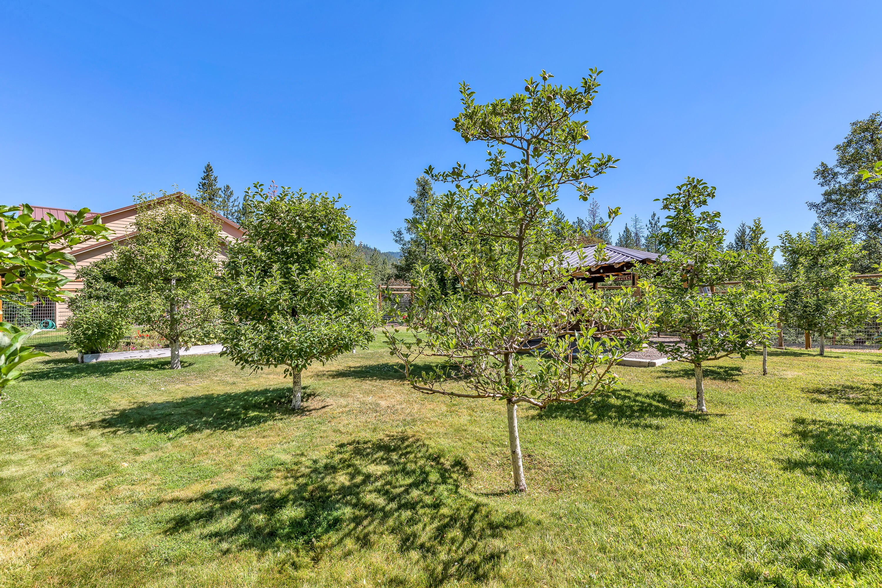 68 Busch Road Trail, OR 97541 - Photo 57 of 75 9R9A0817