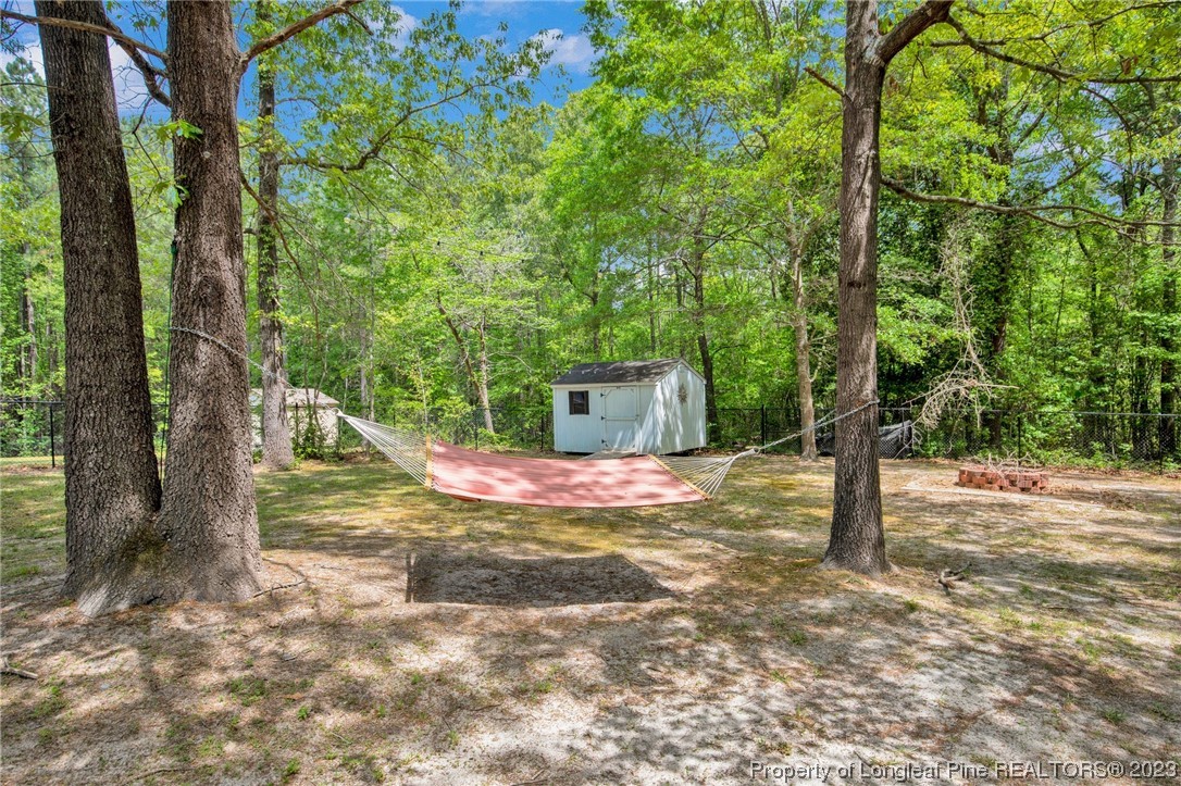 369 Grand Stand Lane Angier, NC 27501 - Photo 29 of 33 a view of a tree in the middle of a yard