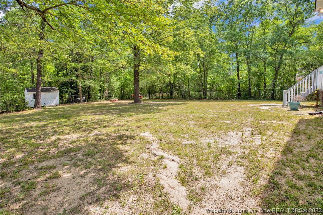 369 Grand Stand Lane Angier, NC 27501 - Photo 32 of 33 a view of a field with trees in the background