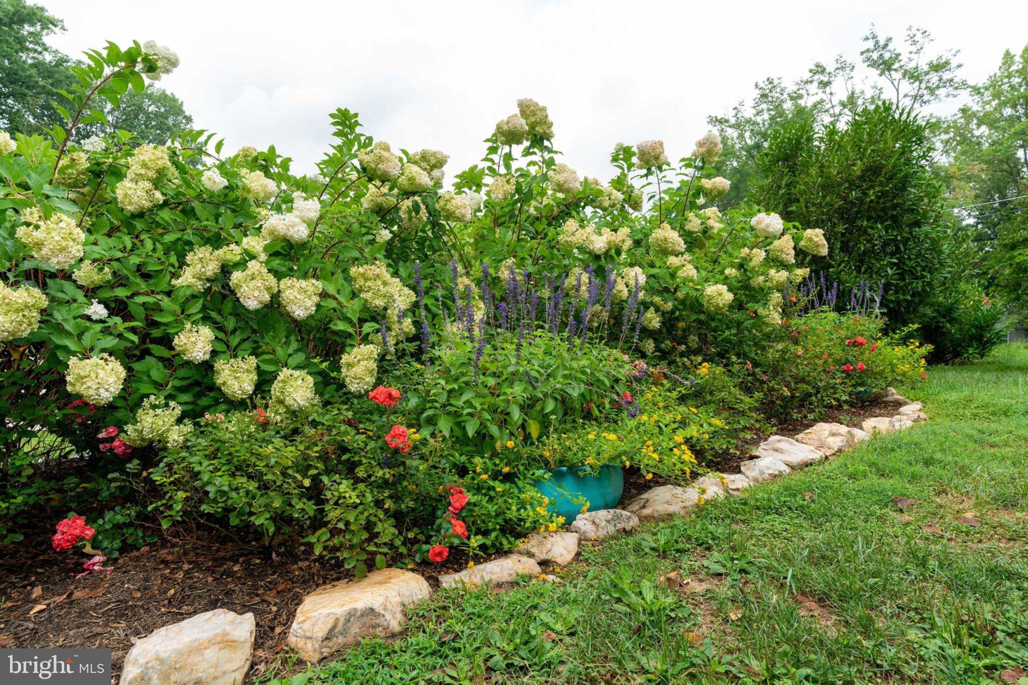 6417 Julian Street Springfield, VA 22150 - Photo 49 of 50 Lots of flowers for three season enjoyment!