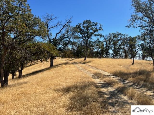 Dead Cow Creek Road Red Bluff, CA 96080 - Photo 3 of 10