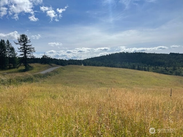 111 Davies Road Oroville, WA 98844 - Photo 1 of 15 a view of an ocean and mountain