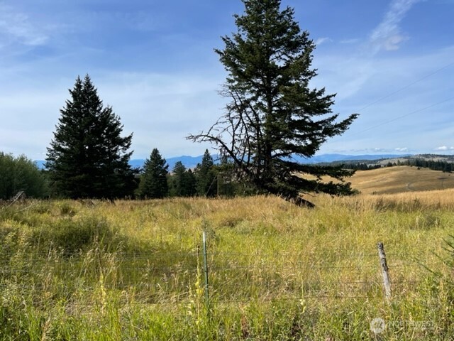 111 Davies Road Oroville, WA 98844 - Photo 12 of 15 a view of a lake view