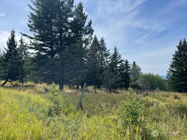 111 Davies Road Oroville, WA 98844 - Photo 2 of 15 a view of a lake with a tree