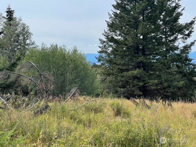 111 Davies Road Oroville, WA 98844 - Photo 3 of 15