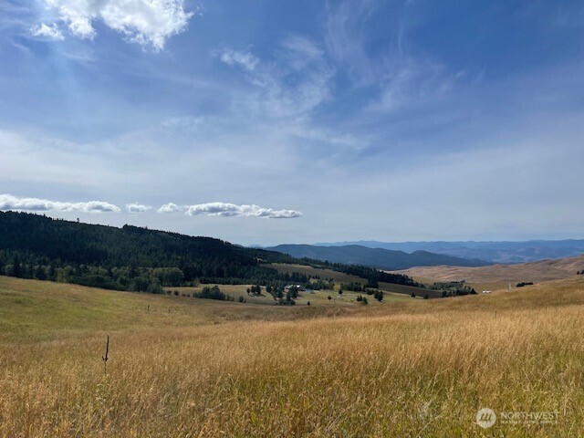 111 Davies Road Oroville, WA 98844 - Photo 5 of 15 a view of an ocean