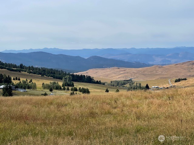 111 Davies Road Oroville, WA 98844 - Photo 6 of 15 a view of a town with mountains in the background