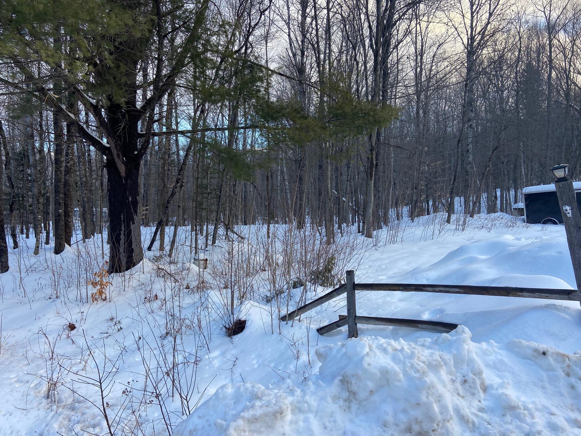 Parcel A Bear River Road Newry, ME 04261 - Photo 6 of 10 IMG_3558