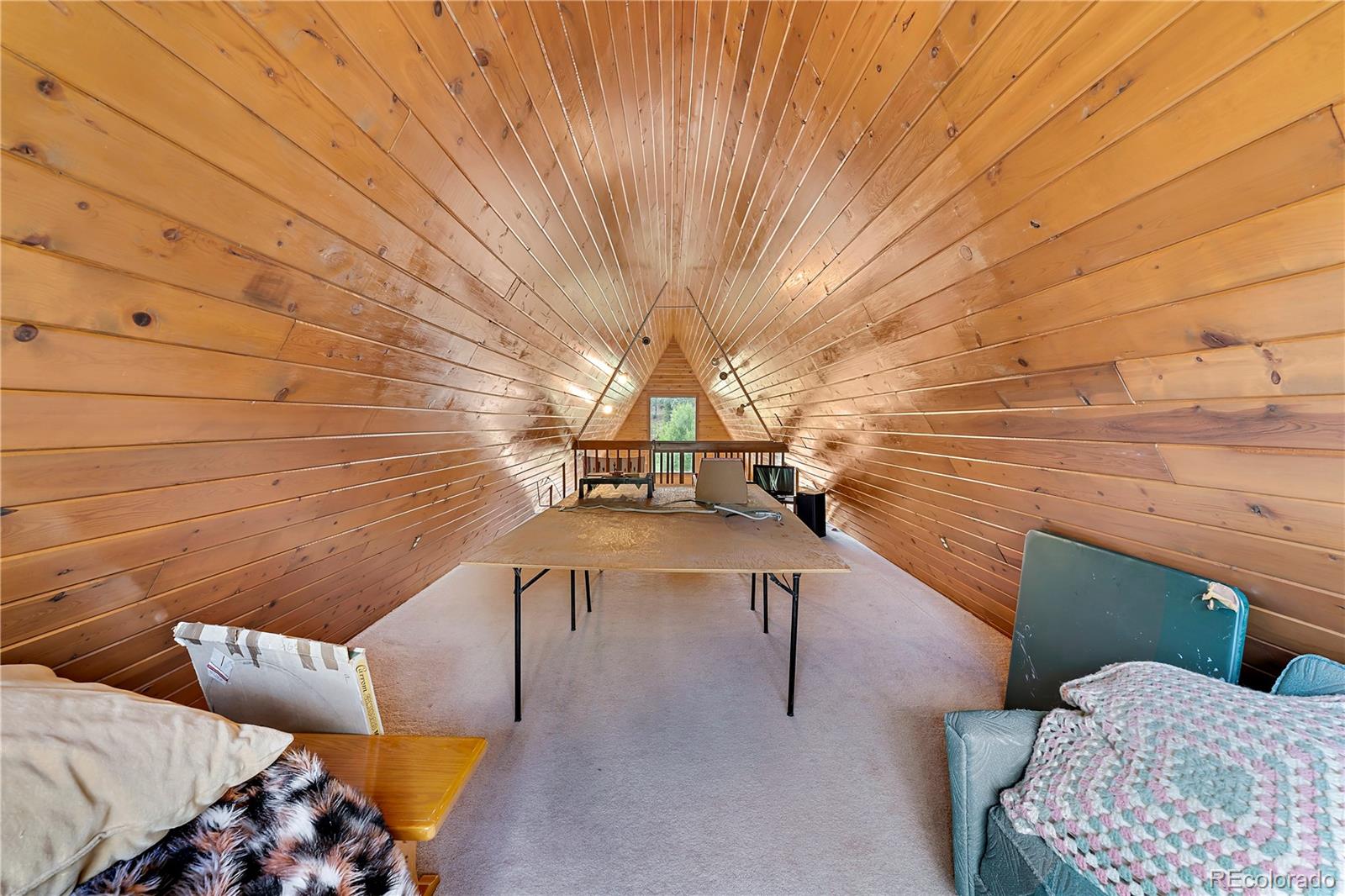 368 Rising Sun Road Bailey, CO 80421 - Photo 8 of 17