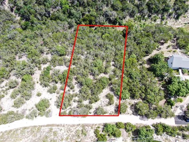 a view of a yard with plants and large trees