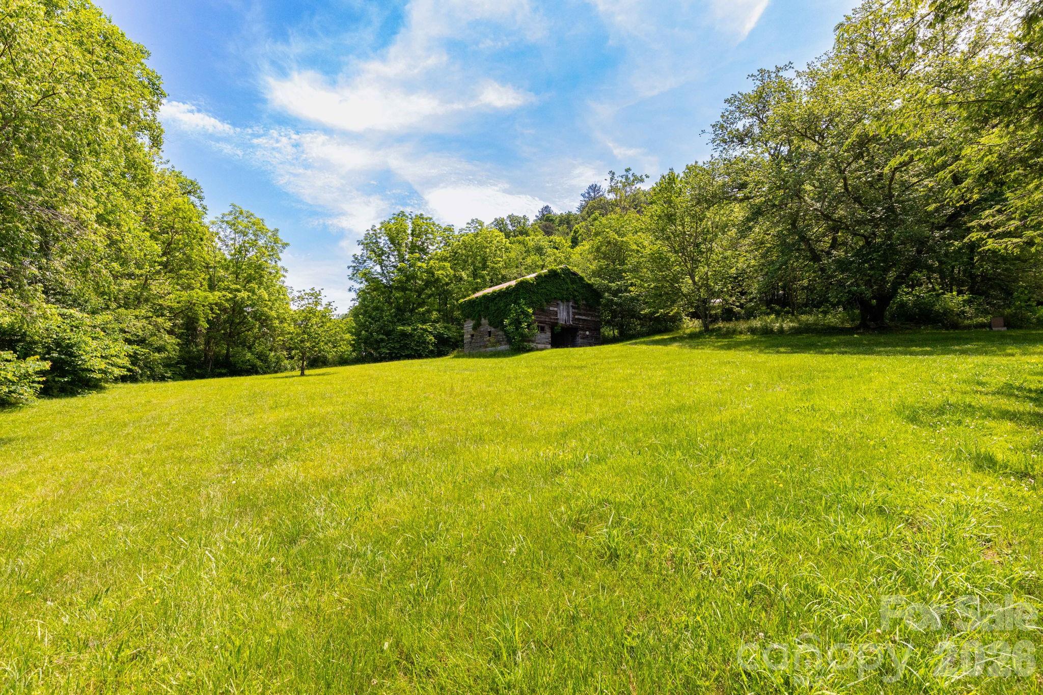 329 North Fork Road Barnardsville, NC 28709 - Photo 25 of 33
