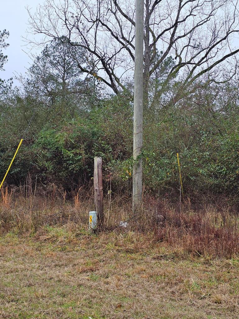 1611 Neal Road Junction City, GA 31812 - Photo 28 of 29 Gallery Image 28